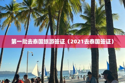 第一批去泰国旅游签证（2021去泰国签证）