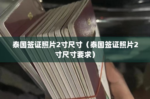 泰国签证照片2寸尺寸（泰国签证照片2寸尺寸要求）  第1张