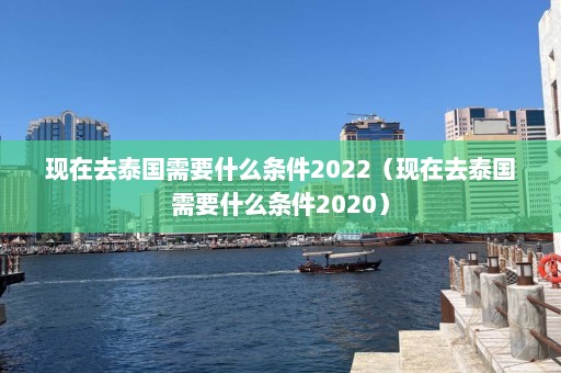 现在去泰国需要什么条件2022（现在去泰国需要什么条件2020）