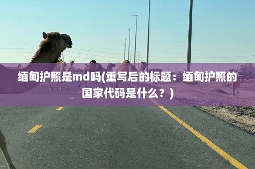 缅甸护照是md吗(重写后的标题：缅甸护照的国家代码是什么？)