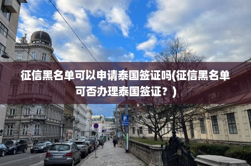 征信黑名单可以申请泰国签证吗(征信黑名单可否办理泰国签证？)