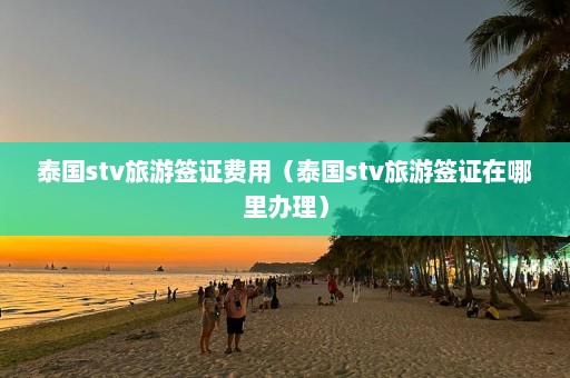 泰国stv旅游签证费用（泰国stv旅游签证在哪里办理）