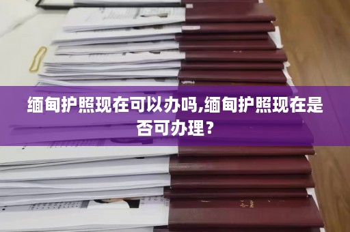 缅甸护照现在可以办吗,缅甸护照现在是否可办理？  第1张