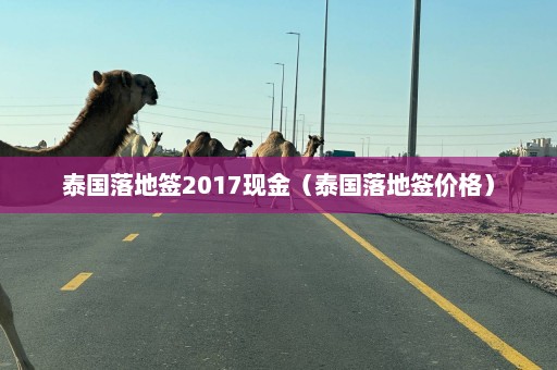 泰国落地签2017现金（泰国落地签价格）