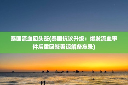 泰国流血回头签(泰国抗议升级：爆发流血事件后重回签署谅解备忘录)