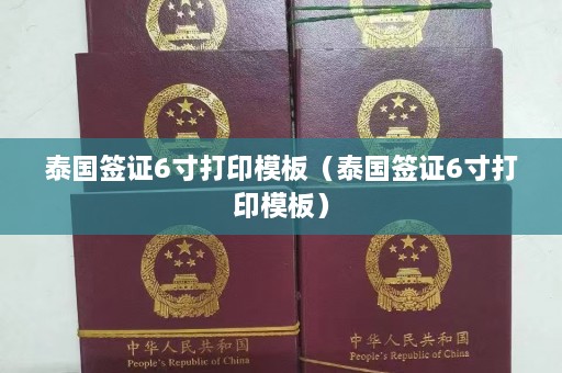 泰国签证6寸打印模板（泰国签证6寸打印模板）  第1张