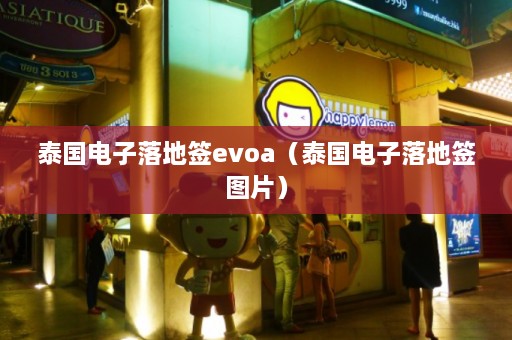 泰国电子落地签evoa（泰国电子落地签图片）  第1张