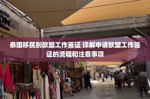 泰国移民到欧盟工作签证 详解申请欧盟工作签证的流程和注意事项