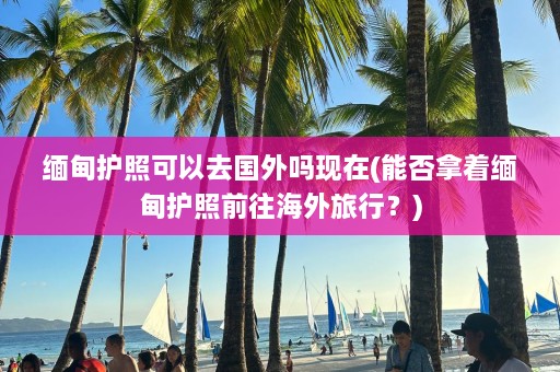 缅甸护照可以去国外吗现在(能否拿着缅甸护照前往海外旅行？)