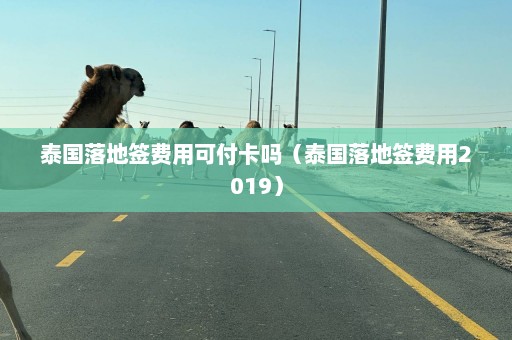 泰国落地签费用可付卡吗（泰国落地签费用2019）