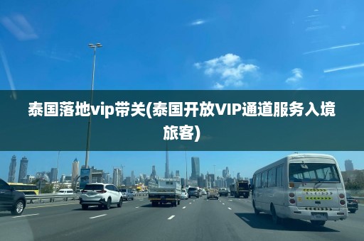 泰国落地vip带关(泰国开放VIP通道服务入境旅客)