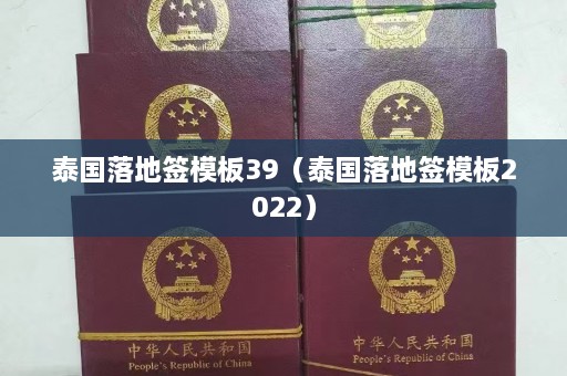 泰国落地签模板39（泰国落地签模板2022）  第1张