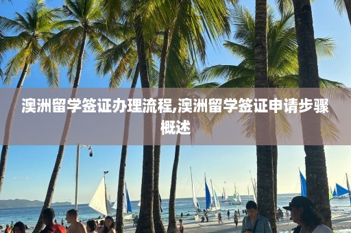 澳洲留学签证办理流程,澳洲留学签证申请步骤概述