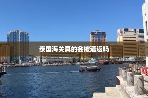 泰国海关真的会被遣返吗