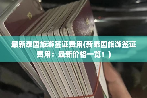 最新泰国旅游签证费用(新泰国旅游签证费用：最新价格一览！)  第1张