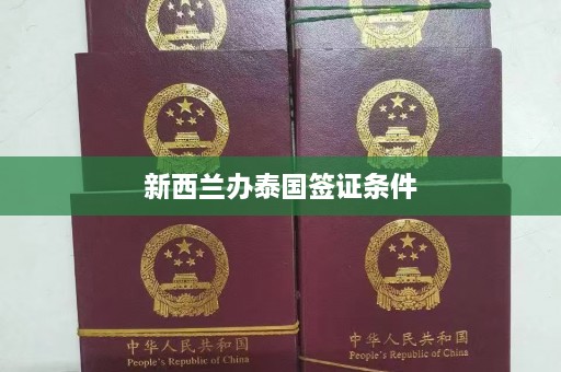 新西兰办泰国签证条件  第1张