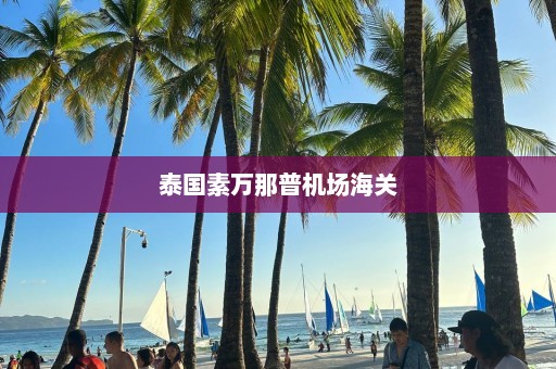 泰国素万那普机场海关