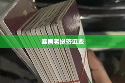 泰国老挝签证费  第1张