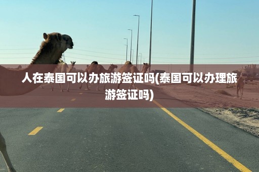 人在泰国可以办旅游签证吗(泰国可以办理旅游签证吗)