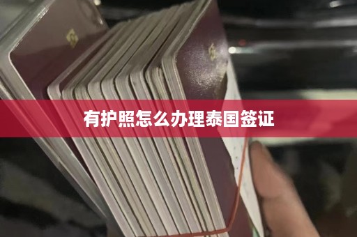 有护照怎么办理泰国签证  第1张