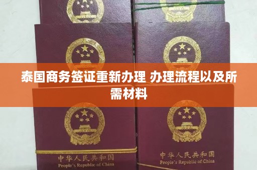 泰国商务签证重新办理 办理流程以及所需材料  第1张