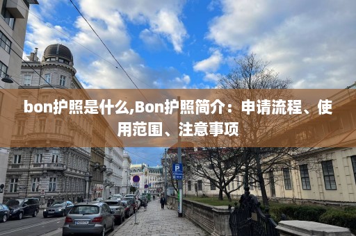 bon护照是什么,Bon护照简介：申请流程、使用范围、注意事项