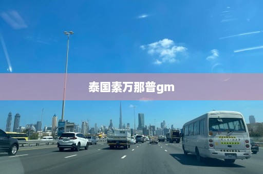 泰国素万那普gm