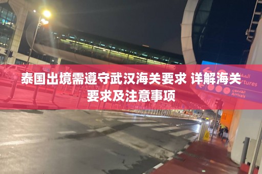 泰国出境需遵守武汉海关要求 详解海关要求及注意事项  第1张