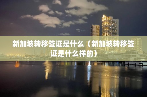 新加坡转移签证是什么（新加坡转移签证是什么样的）  第1张