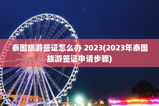 泰国旅游签证怎么办 2023(2023年泰国旅游签证申请步骤)  第1张