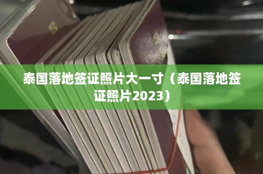 泰国落地签证照片大一寸（泰国落地签证照片2023）  第1张