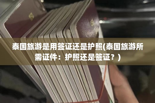 泰国旅游是用签证还是护照(泰国旅游所需证件：护照还是签证？)  第1张