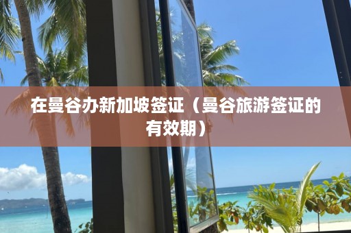 在曼谷办新加坡签证（曼谷旅游签证的有效期）  第1张