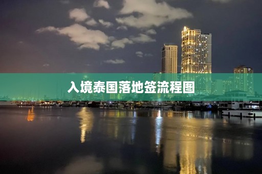 入境泰国落地签流程图  第1张