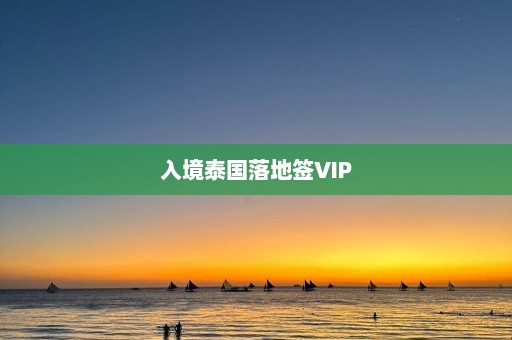 入境泰国落地签VIP