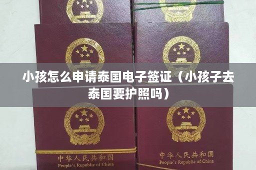 小孩怎么申请泰国电子签证（小孩子去泰国要护照吗）  第1张