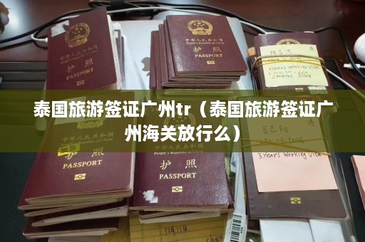 泰国旅游签证广州tr（泰国旅游签证广州海关放行么）  第1张