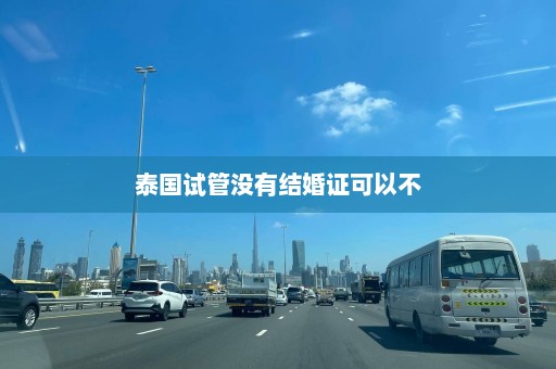 泰国试管没有结婚证可以不