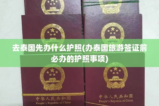 去泰国先办什么护照(办泰国旅游签证前必办的护照事项)  第1张