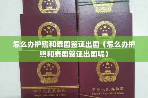 怎么办护照和泰国签证出国（怎么办护照和泰国签证出国呢）