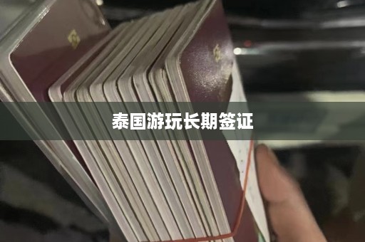 泰国游玩长期签证  第1张