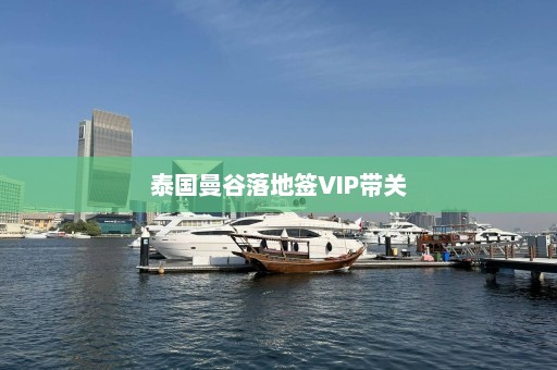 泰国曼谷落地签VIP带关