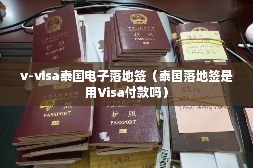 v-visa泰国电子落地签（泰国落地签是用Visa付款吗）  第1张