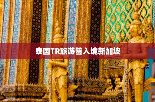 泰国TR旅游签入境新加坡  第1张