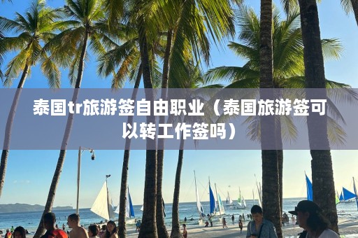 泰国tr旅游签自由职业（泰国旅游签可以转工作签吗）  第1张