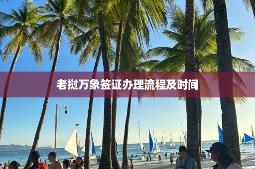 老挝万象签证办理流程及时间