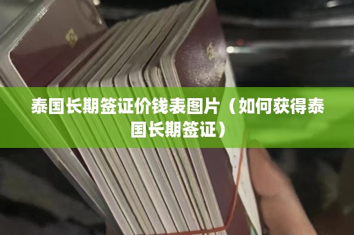 泰国长期签证价钱表图片（如何获得泰国长期签证）  第1张