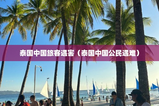 泰国中国旅客遇害（泰国中国公民遇难）