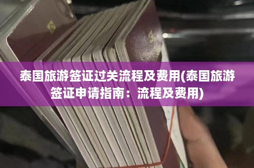 泰国旅游签证过关流程及费用(泰国旅游签证申请指南：流程及费用)  第1张