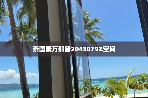 泰国素万那普2043079Z空间